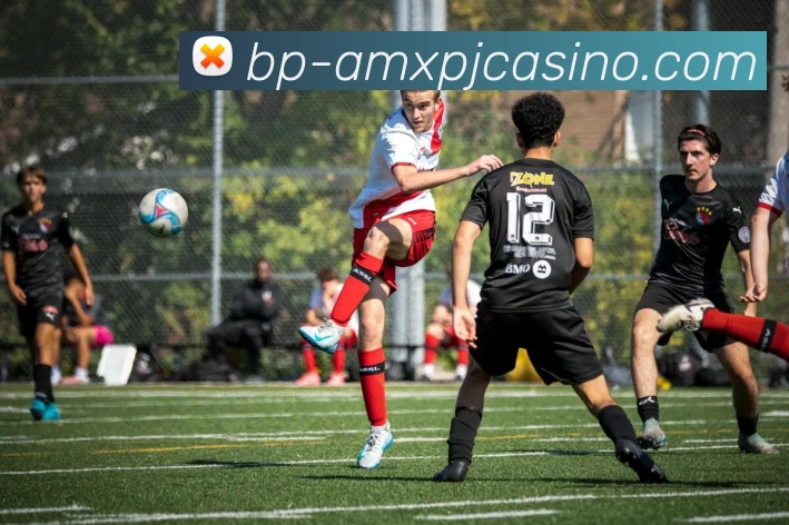 澳门新葡京娱乐APP 体育赛事宣传图